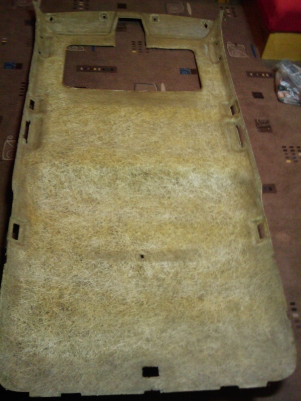 IMAGE_376m.jpg